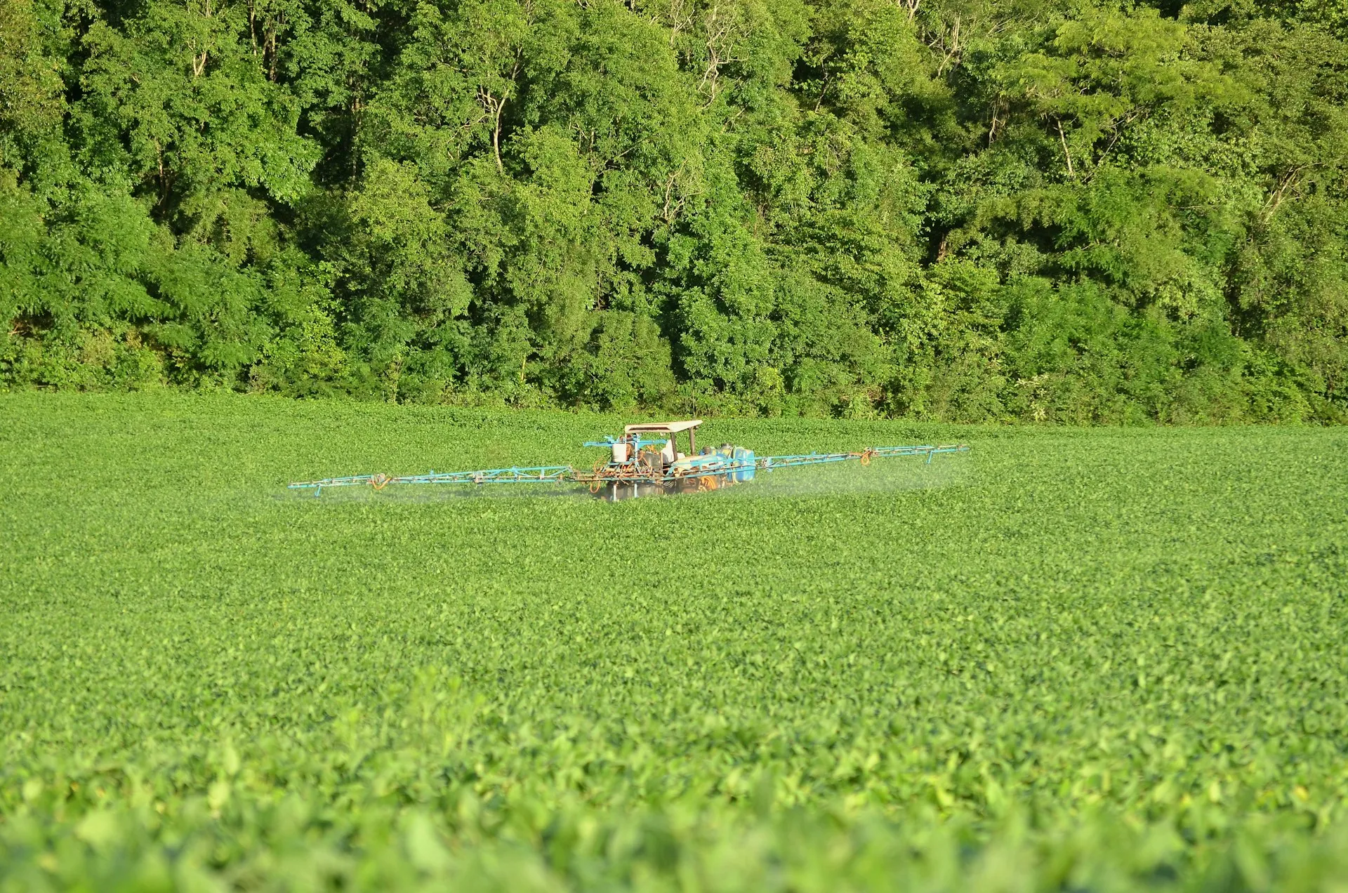 Why Zuari Agro Chemicals Share Price Is Up Today